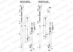 FRONT FORK DISASSEMBLED