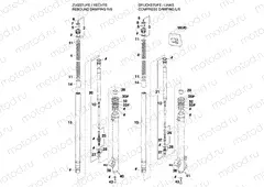 FRONT FORK DISASSEMBLED