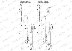 FRONT FORK DISASSEMBLED