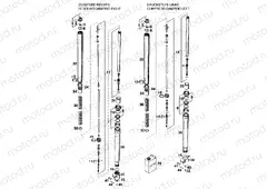 FRONT FORK DISASSEMBLED