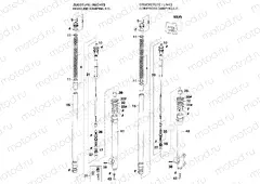 FRONT FORK DISASSEMBLED