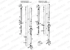 FRONT FORK DISASSEMBLED