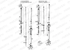 FRONT FORK DISASSEMBLED