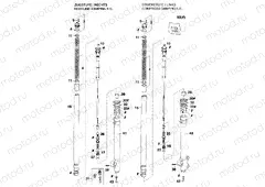 FRONT FORK DISASSEMBLED