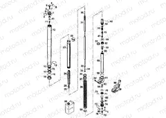 FRONT FORK DISASSEMBLED