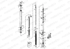 FRONT FORK DISASSEMBLED