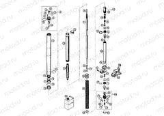 FRONT FORK DISASSEMBLED