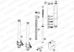 FRONT FORK DISASSEMBLED