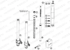 FRONT FORK DISASSEMBLED