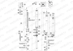 FRONT FORK DISASSEMBLED