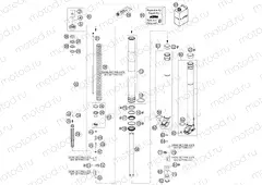 FRONT FORK DISASSEMBLED