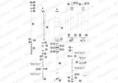 FRONT FORK DISASSEMBLED