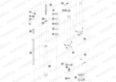 FRONT FORK DISASSEMBLED