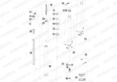 FRONT FORK DISASSEMBLED