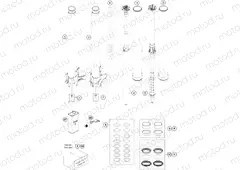 FRONT FORK DISASSEMBLED