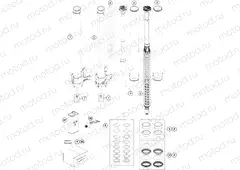 FRONT FORK DISASSEMBLED