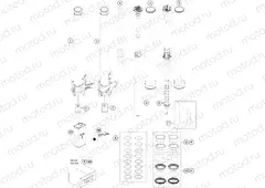 FRONT FORK DISASSEMBLED