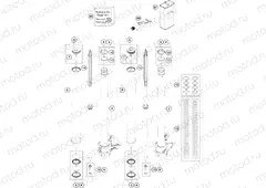 FRONT FORK DISASSEMBLED