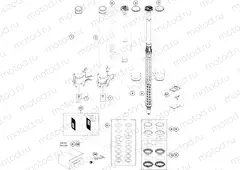 FRONT FORK DISASSEMBLED