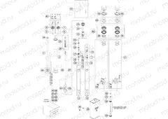 FRONT FORK DISASSEMBLED