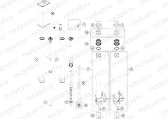 FRONT FORK DISASSEMBLED