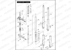 FRONT FORK - FXDX/I