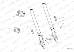 FRONT FORK [MOD:SCR11SPR]
