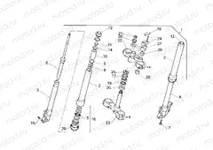 Front fork N/P