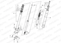 Front Fork Right F4SPR-SENNA