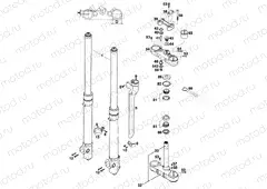 FRONT FORK, TRIPLE CLAMP