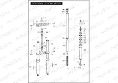 FRONT FORK - VRSCAW, VRSCDX
