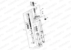Front Forks & Lower Yoke