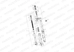 Front Forks & Lower Yoke