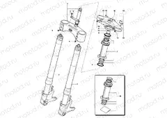 Front Suspension Assembly