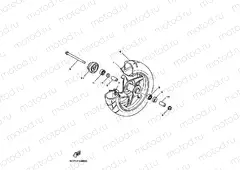 Front wheel