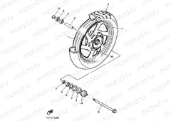 Front wheel