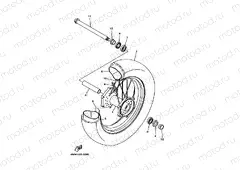 Front wheel