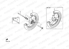 Front wheel