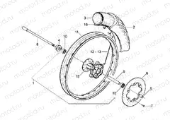 Front wheel