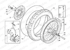 Front wheel