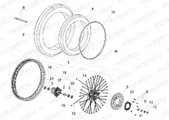 Front wheel
