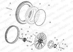 Front wheel