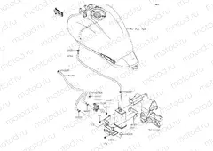 Fuel Evaporative System
