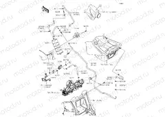 Fuel Evaporative System