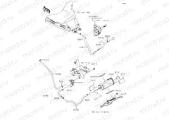 Fuel Evaporative System