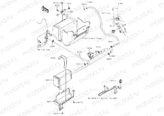 Fuel Evaporative System