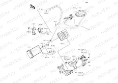Fuel Evaporative System