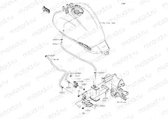 Fuel Evaporative System