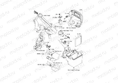 Fuel Injection