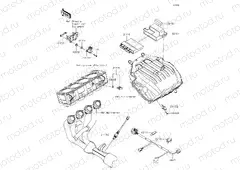 Fuel Injection